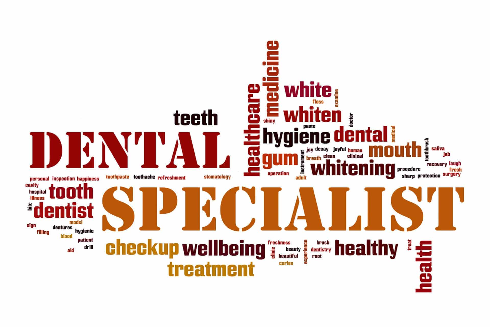 Introducing Your Dental Squad